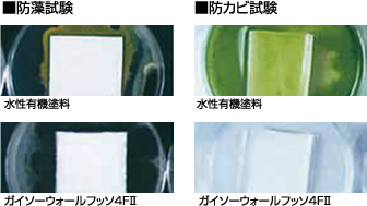 img_paint12_05